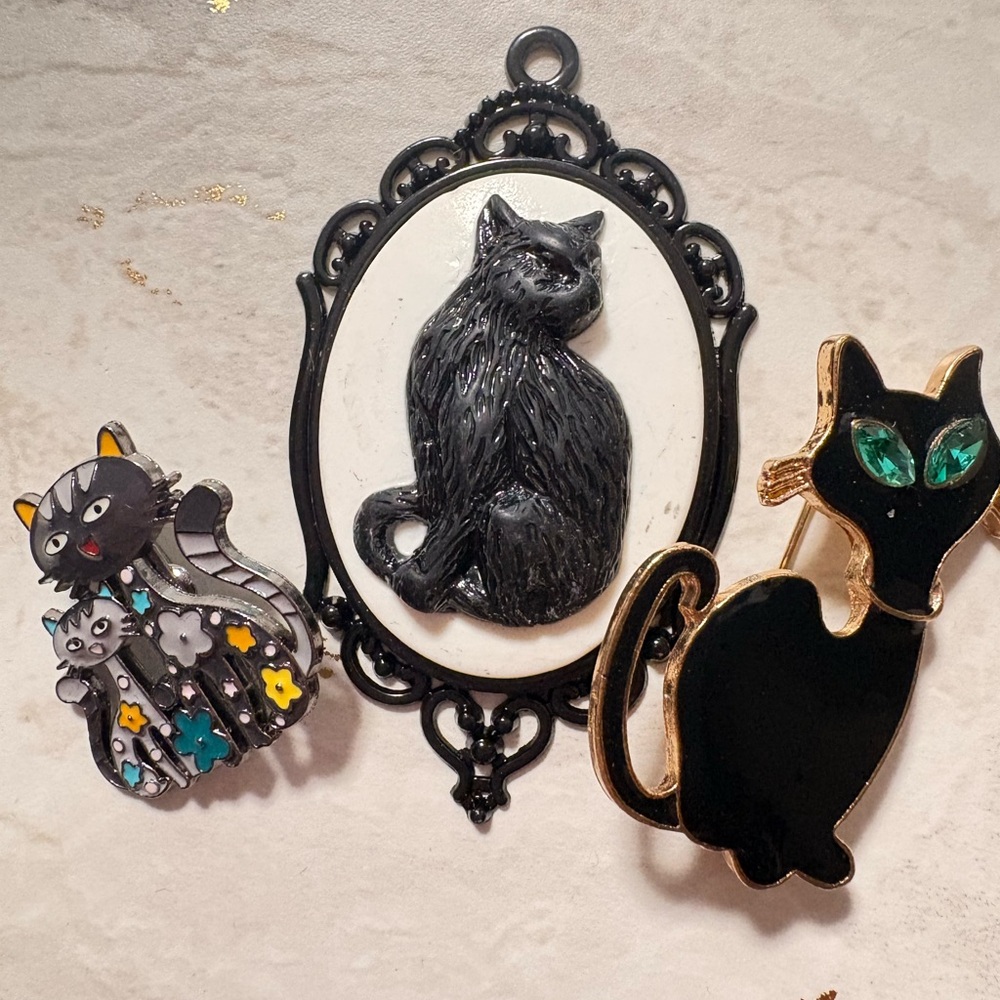 Black Cat Cameo Brooch and pendant — Enameled Cat trio brooch Pin